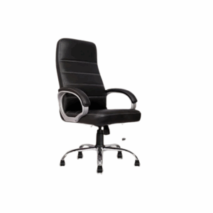 Executive Swivel Chair with Cushioned Seat